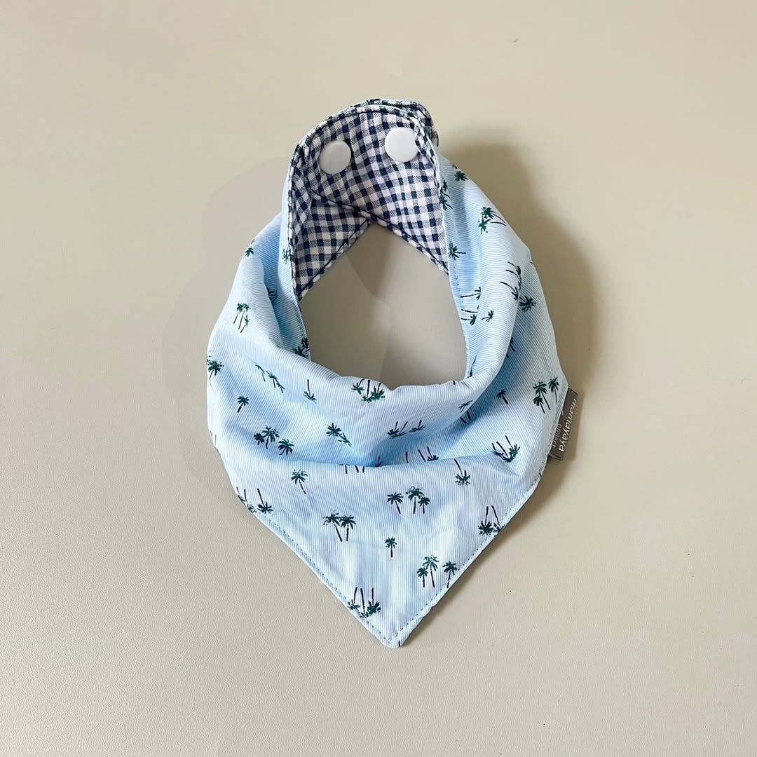 Coconut Cutie Baby Bib Set