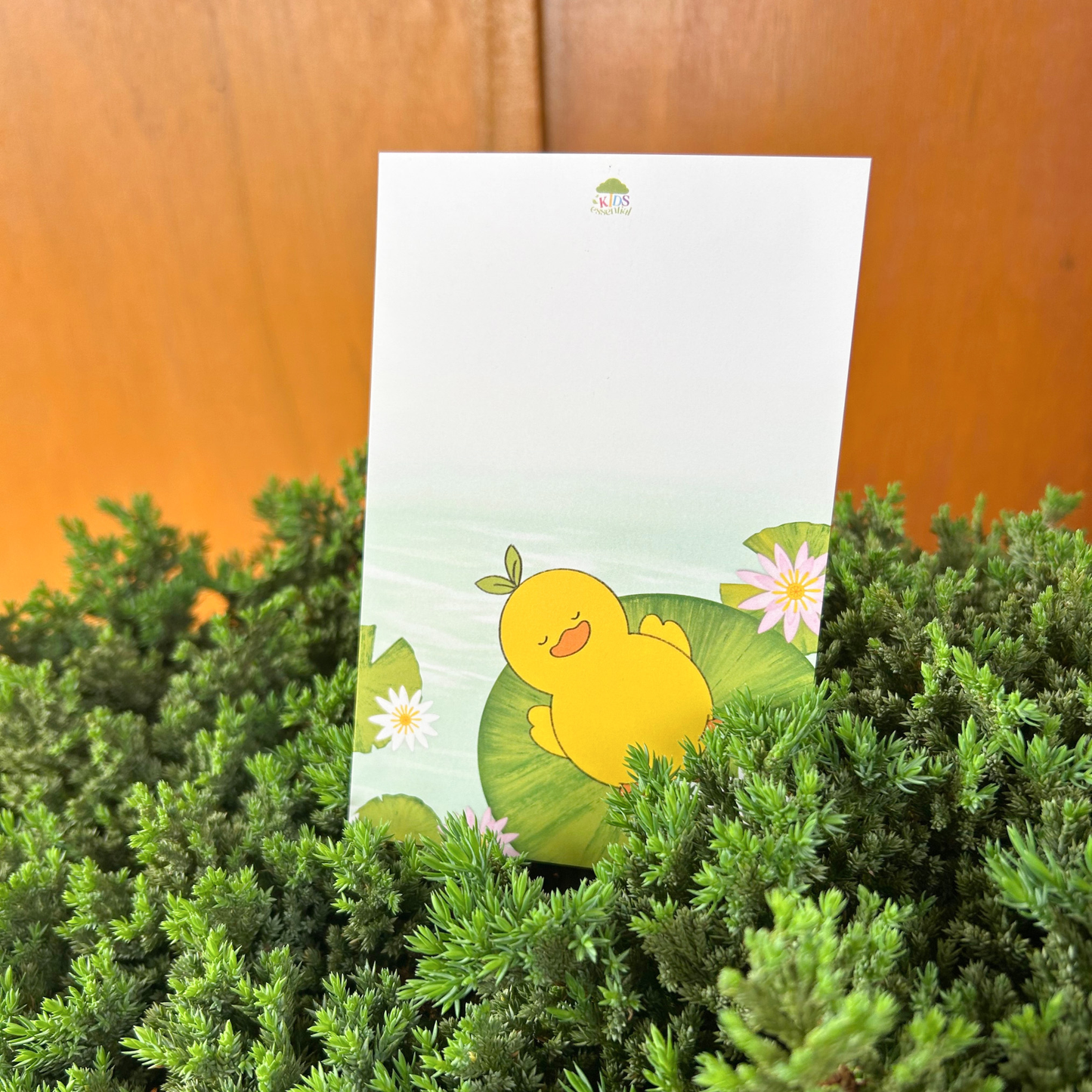 Premium Gift Box